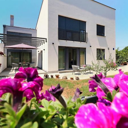Papillon I Dolce Vita Tar-Vabriga Bagian luar foto
