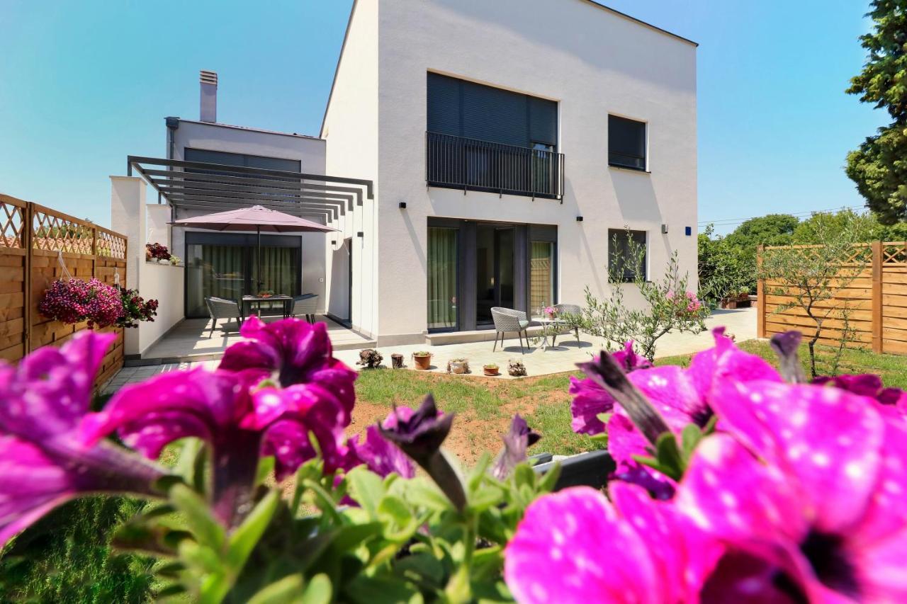 Papillon I Dolce Vita Tar-Vabriga Bagian luar foto